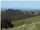 95a White Hills Road, Penguin TAS 7316
