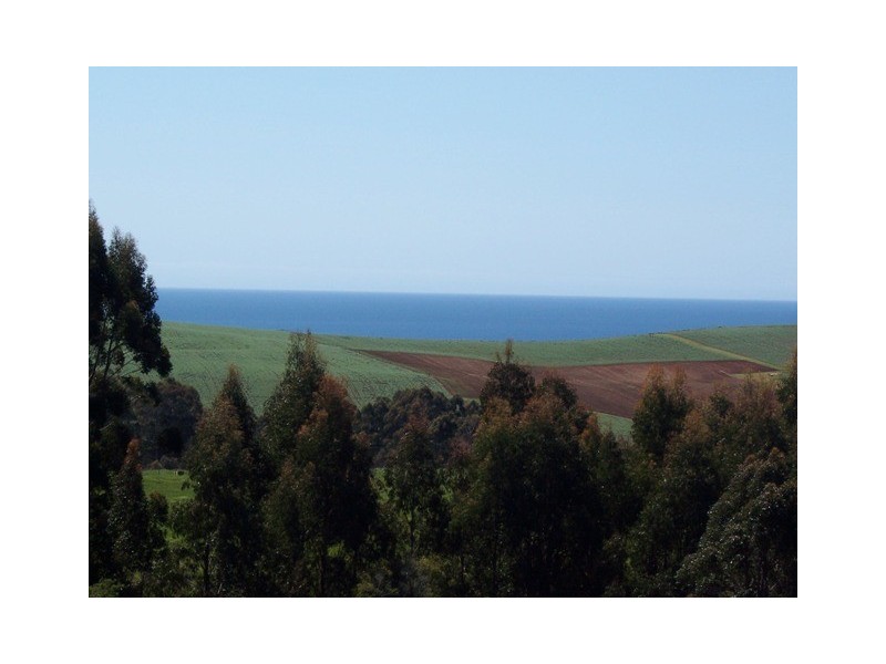 95a White Hills Road, Penguin TAS 7316