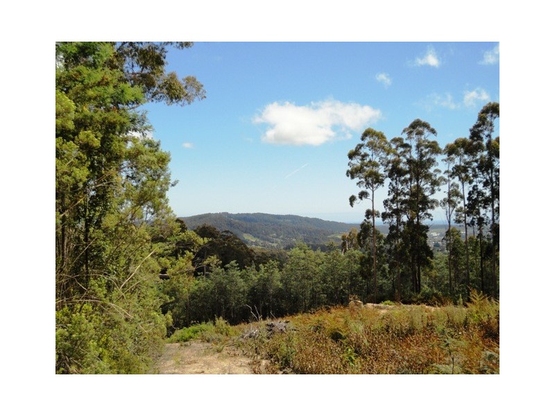 32 Eagle Ridge Road, South Spreyton TAS 7310