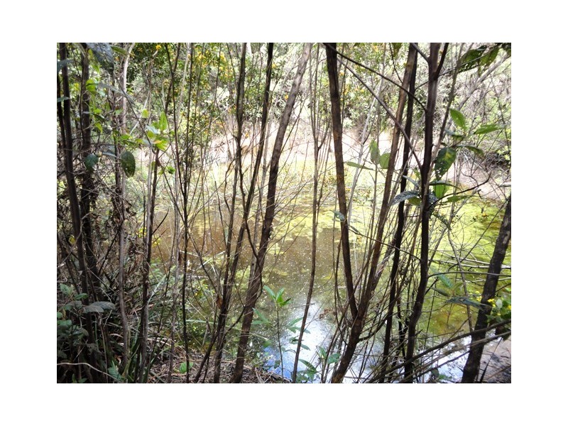 32 Eagle Ridge Road, South Spreyton TAS 7310