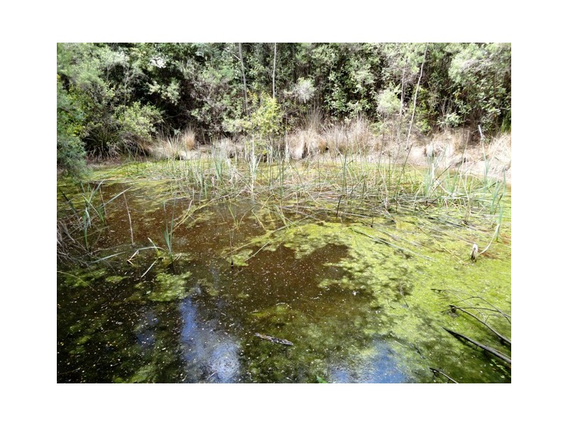 32 Eagle Ridge Road, South Spreyton TAS 7310