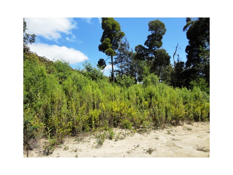 32 Eagle Ridge Road, South Spreyton TAS 7310