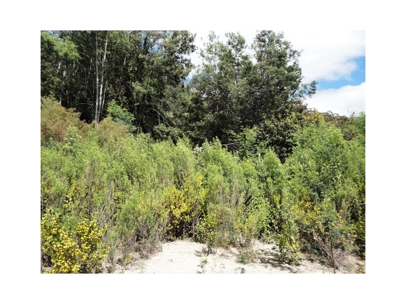 32 Eagle Ridge Road, South Spreyton TAS 7310