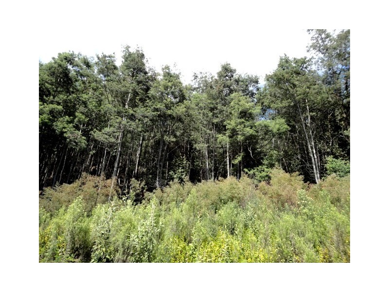 32 Eagle Ridge Road, South Spreyton TAS 7310