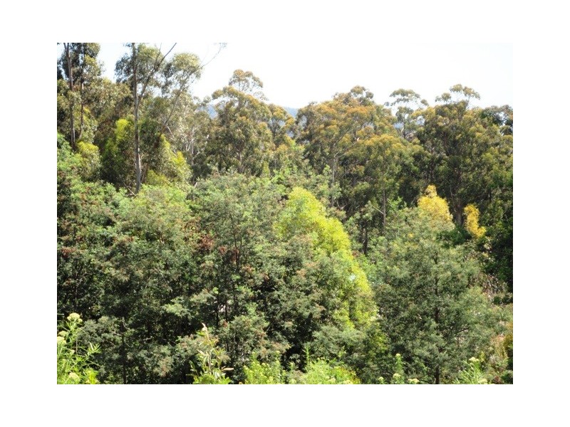 32 Eagle Ridge Road, South Spreyton TAS 7310