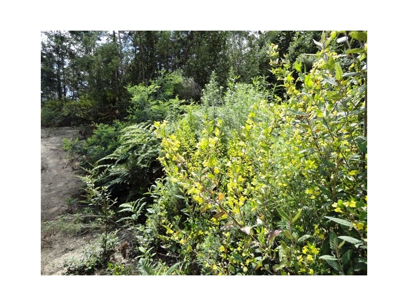 32 Eagle Ridge Road, South Spreyton TAS 7310