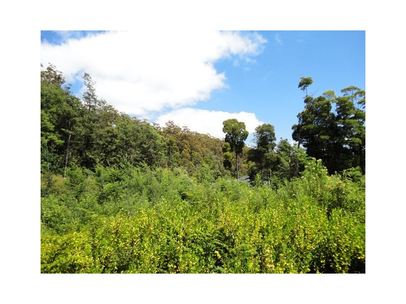 32 Eagle Ridge Road, South Spreyton TAS 7310