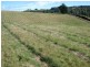 Lot 1 Coles Road, Acacia Hills TAS 7306
