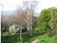 19 Forest Road, Trevallyn TAS 7250