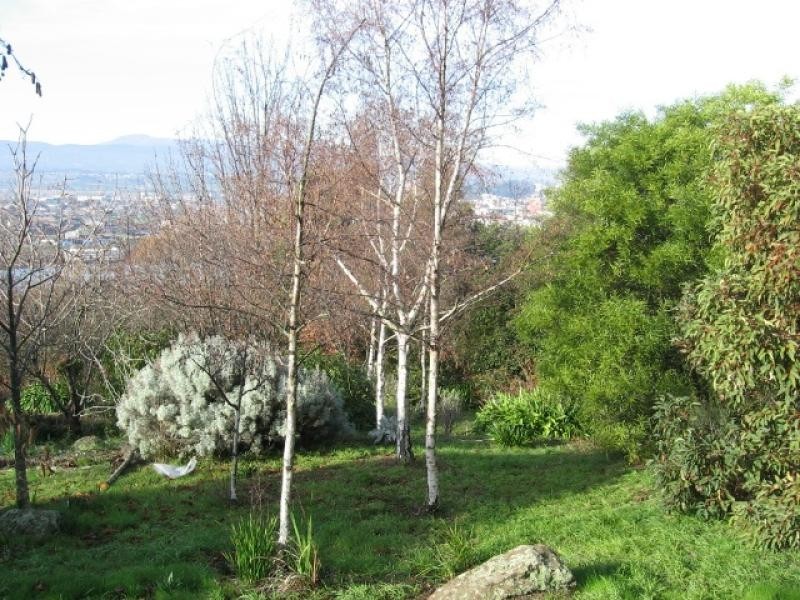 19 Forest Road, Trevallyn TAS 7250