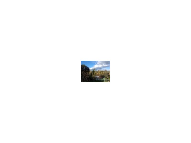 9 Old Bridge Road, Perth TAS 7300