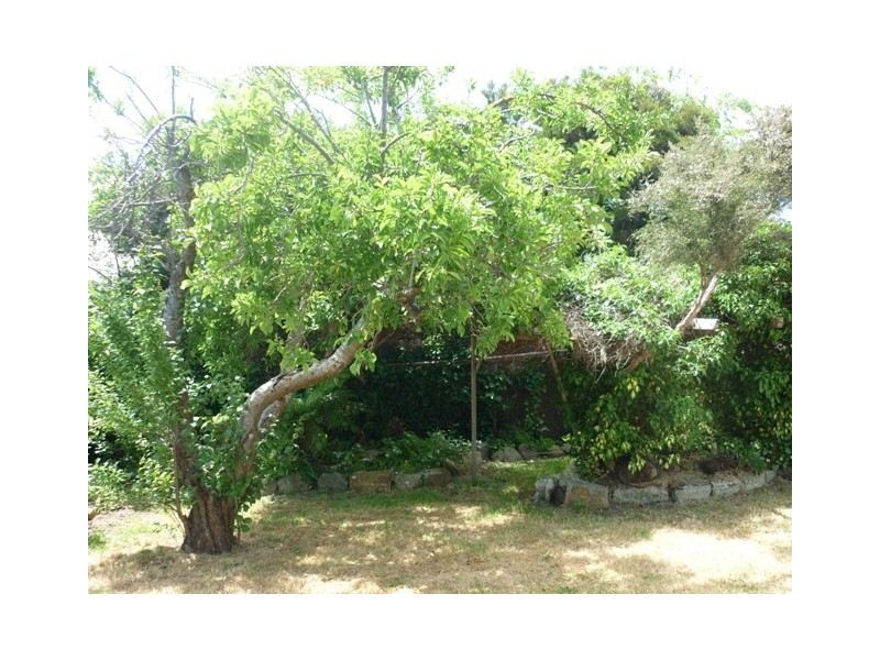 2 Yarloop Street, Waverley TAS 7250