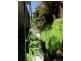 38 Bain Terrace, Trevallyn TAS 7250