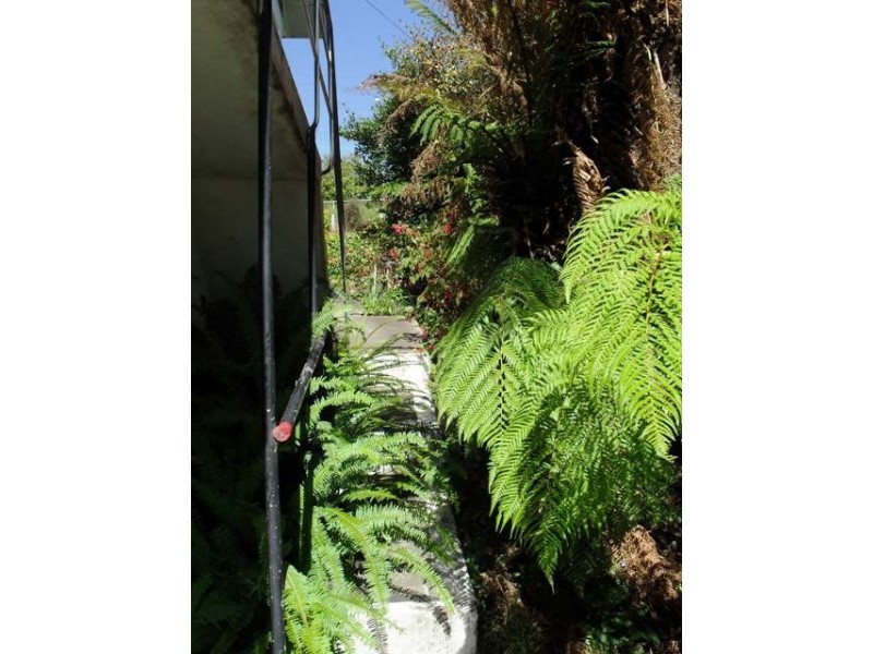 38 Bain Terrace, Trevallyn TAS 7250