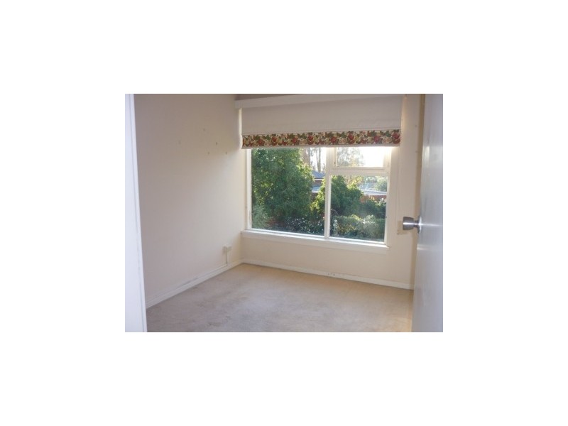 3/67a Elphin Road, Newstead TAS 7250