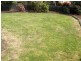 9 Owen Place, Summerhill TAS 7250