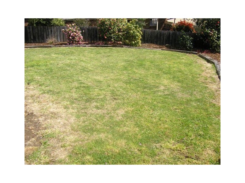 9 Owen Place, Summerhill TAS 7250