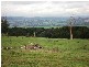 4 Lovely Banks Court, Legana TAS 7277