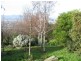 19 Forest Road, Trevallyn TAS 7250