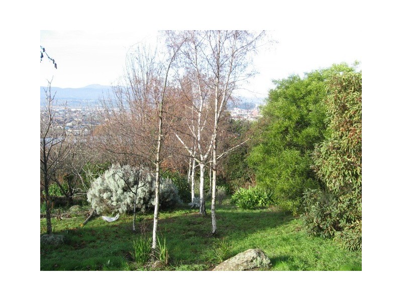 19 Forest Road, Trevallyn TAS 7250