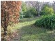 19 Forest Road, Trevallyn TAS 7250