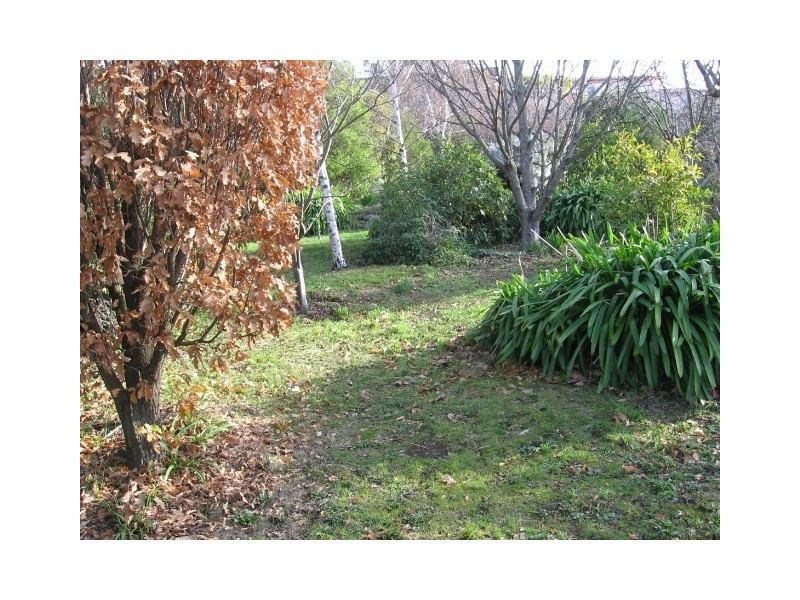 19 Forest Road, Trevallyn TAS 7250