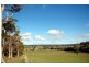 5388 Bridport Road, Pipers River TAS 7252
