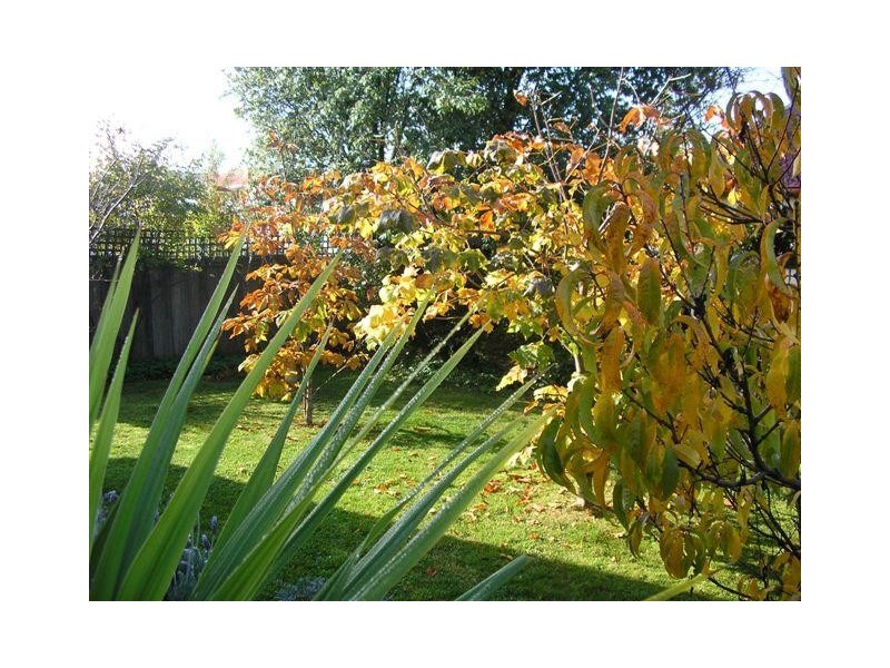 2/366 Westbury Road, Prospect TAS 7250