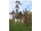 8 Talita Avenue, Summerhill TAS 7250
