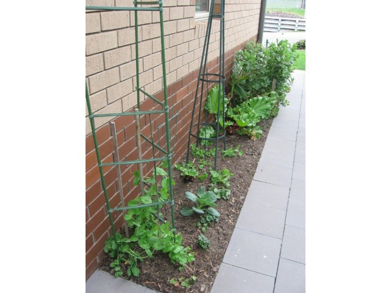 35/3 Tallentine Road, Newnham TAS 7248