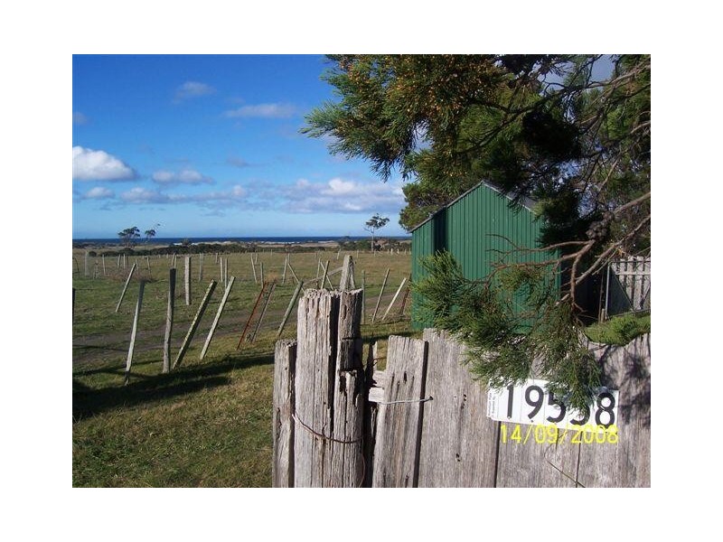 19558 Tasman Highway, Seymour TAS 7215