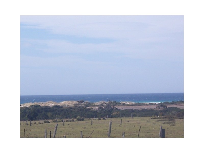 19558 Tasman Highway, Seymour TAS 7215