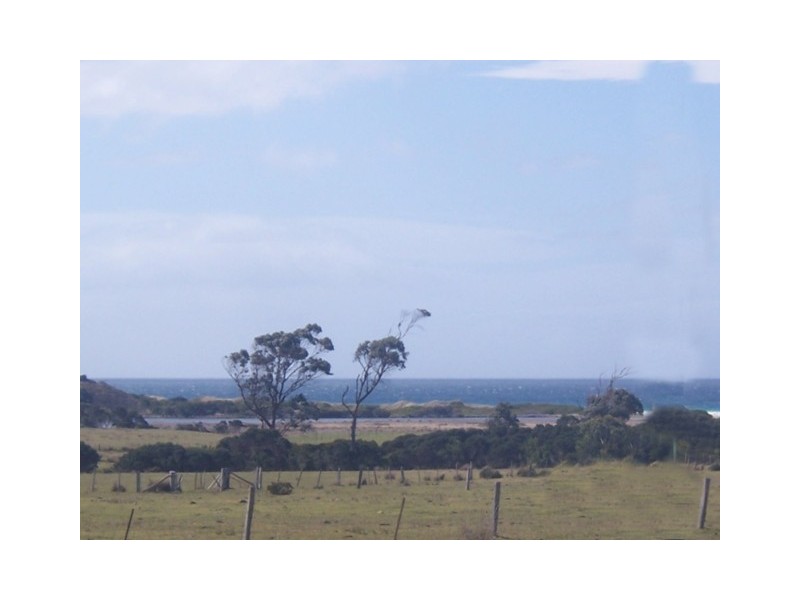 19558 Tasman Highway, Seymour TAS 7215