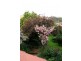 241 Charles Street, Launceston TAS 7250