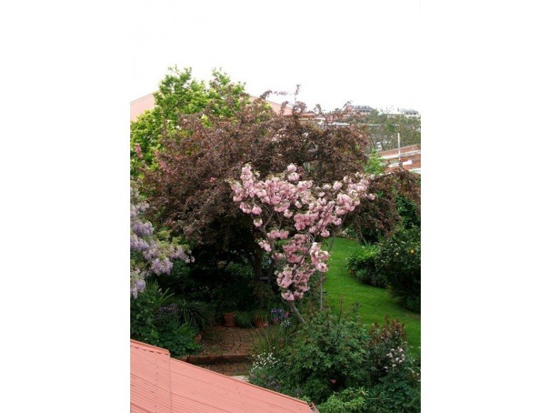 241 Charles Street, Launceston TAS 7250