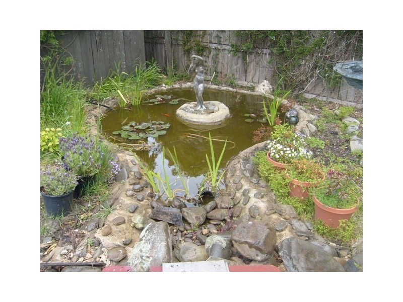 38 Russell Street, Evandale TAS 7212