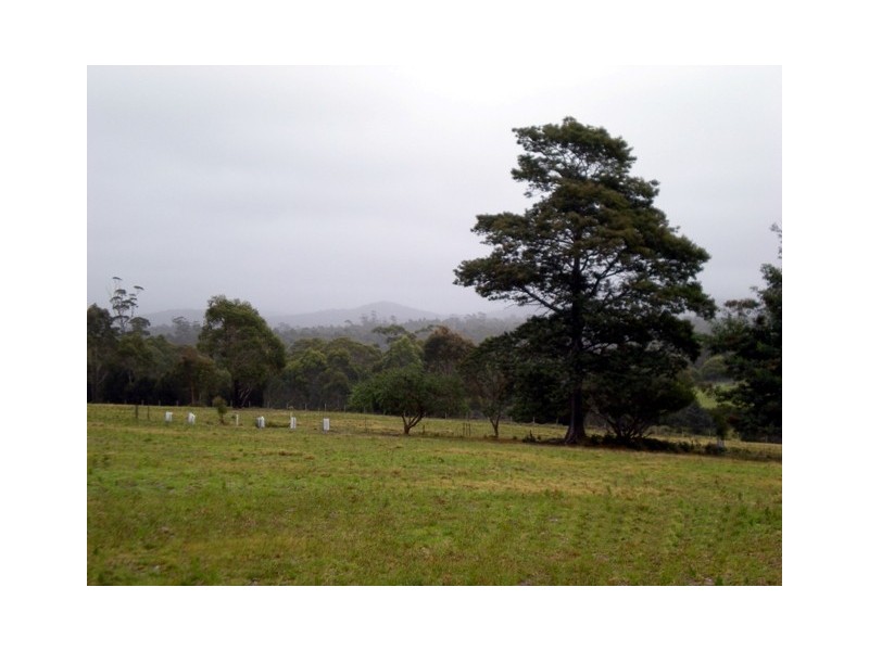 3/ 25691  Tasman Highway, St Helens TAS 7216