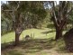 27 Atkinsons Road, Grindelwald TAS 7277