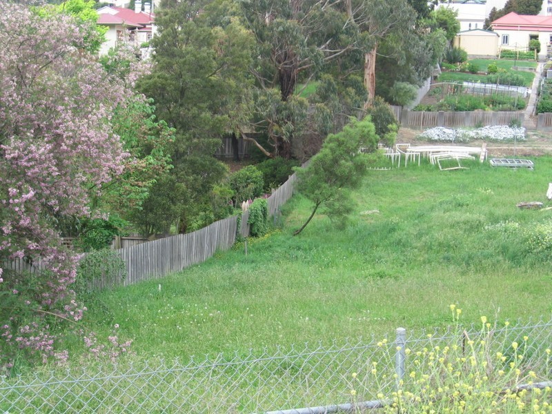 74 Leslie Street, South Launceston TAS 7249