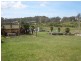 1064 Liffey Road, Liffey TAS 7301