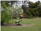 1064 Liffey Road, Liffey TAS 7301