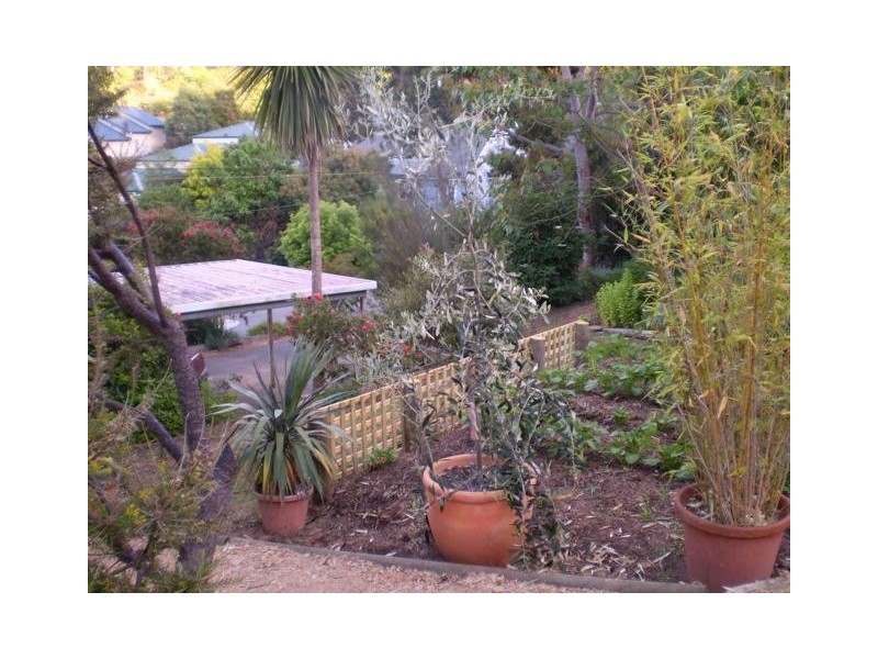 247-249 Upper York Street, West Launceston TAS 7250