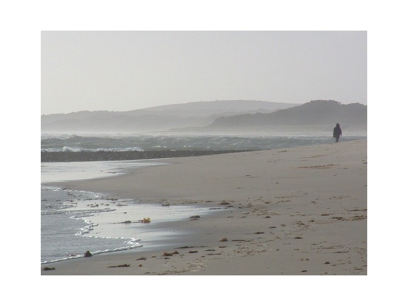 10 Esplanade, Beechford TAS 7252