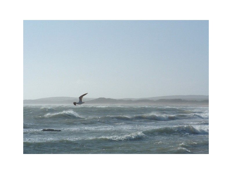 10 Esplanade, Beechford TAS 7252