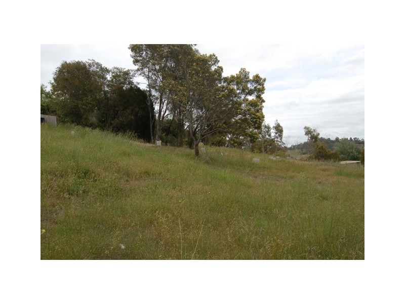 57 Riverview Road, Riverside TAS 7250