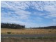 1 Napoleon Street, Perth TAS 7300
