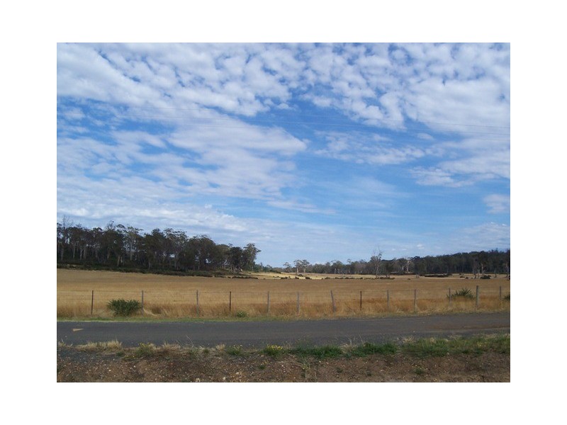 1 Napoleon Street, Perth TAS 7300