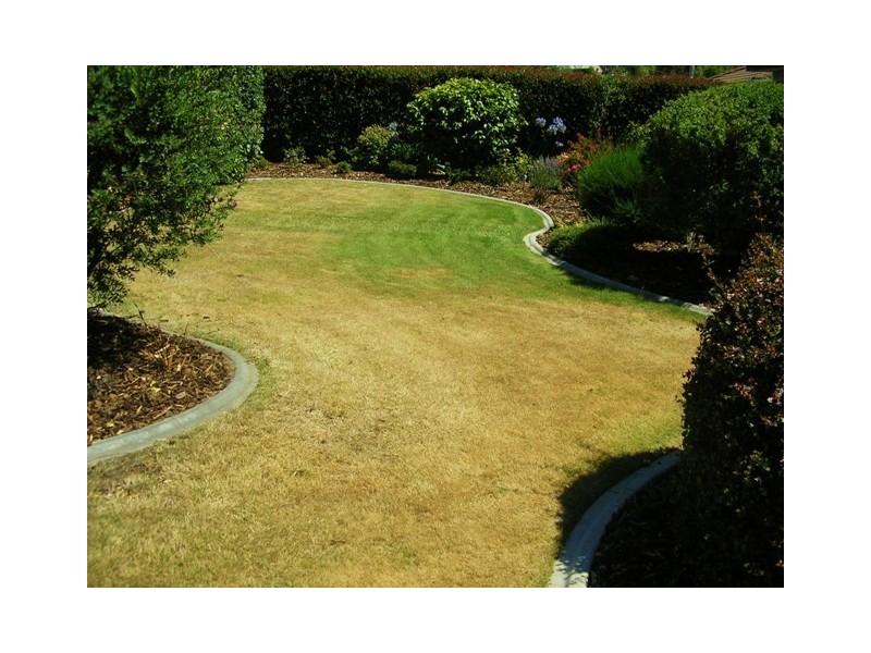 Summerhill TAS 7250