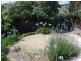 47 Upton Street, Launceston TAS 7250