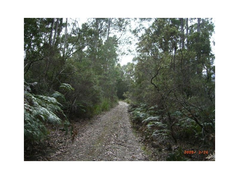 Lot 1 Denmans Road, Birralee TAS 7303
